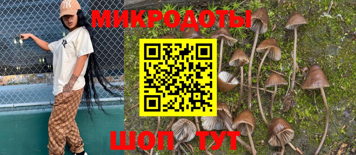 Псилоцибиновые грибы прущие грибы Вятские Поляны