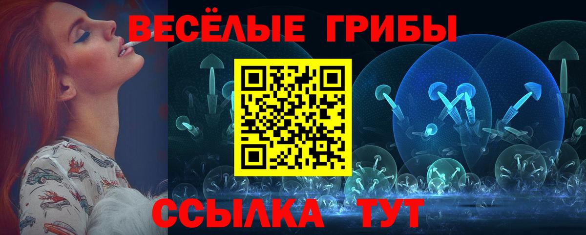 Вятские Поляны  Альфа ПВП СОЛЬ   МЕФ кристаллы  Вход с VPN  Марихуана  Гашиш 